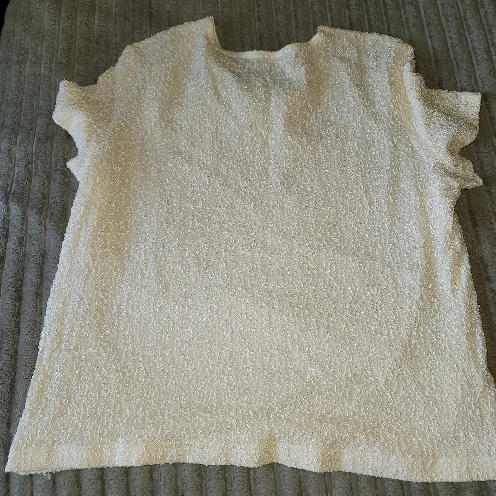 Talbots Embroidered‎ Blouse Women's Short Sleeve Rayon Nylon Ivory Size XL Lined